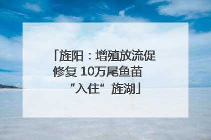 旌阳：增殖放流促修复 10万尾鱼苗“入住”旌湖