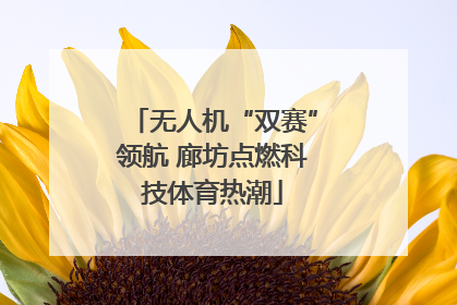无人机“双赛”领航 廊坊点燃科技体育热潮