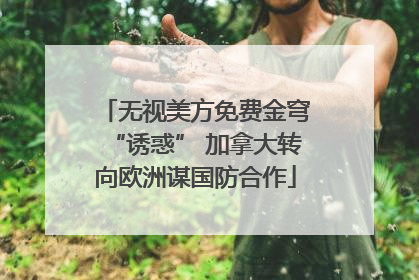 无视美方免费金穹“诱惑” 加拿大转向欧洲谋国防合作