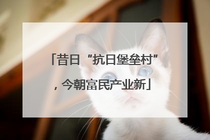 昔日“抗日堡垒村”，今朝富民产业新