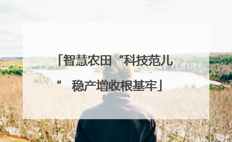 智慧农田“科技范儿” 稳产增收根基牢
