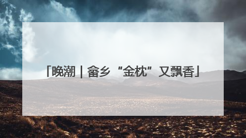 晚潮｜畲乡“金枕”又飘香