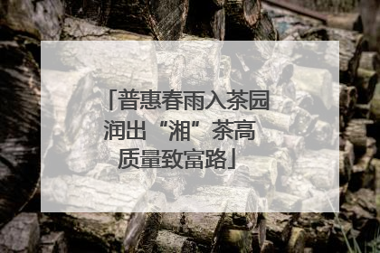 普惠春雨入茶园 润出“湘”茶高质量致富路