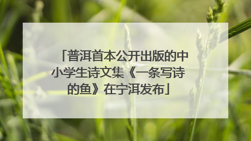 普洱首本公开出版的中小学生诗文集《一条写诗的鱼》在宁洱发布