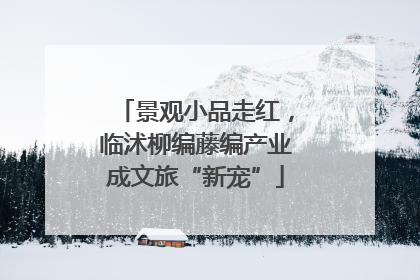 景观小品走红，临沭柳编藤编产业成文旅“新宠”