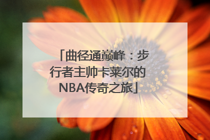 曲径通巅峰：步行者主帅卡莱尔的NBA传奇之旅
