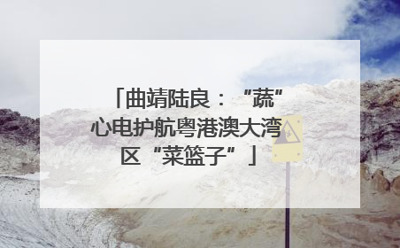 曲靖陆良：“蔬”心电护航粤港澳大湾区“菜篮子”