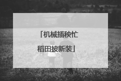 机械插秧忙 稻田披新装