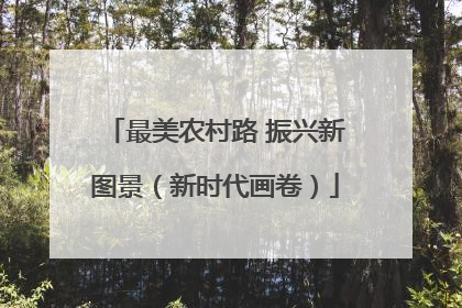 最美农村路 振兴新图景（新时代画卷）