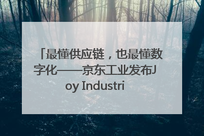 最懂供应链，也最懂数字化——京东工业发布Joy Industrial 重塑工业未来