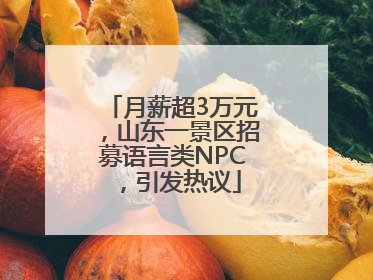 月薪超3万元，山东一景区招募语言类NPC，引发热议