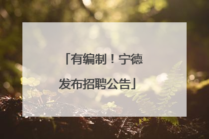 有编制！宁德发布招聘公告