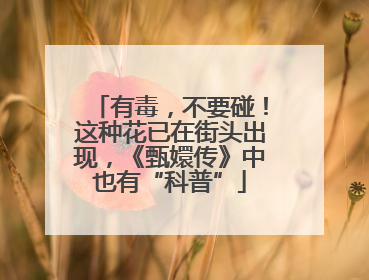 有毒，不要碰！这种花已在街头出现，《甄嬛传》中也有“科普”