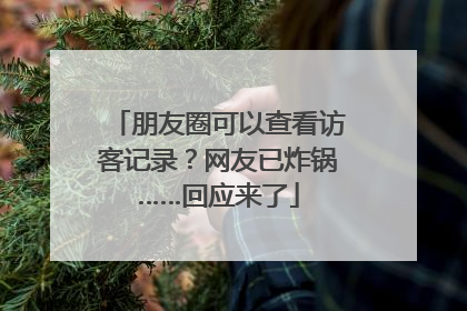 朋友圈可以查看访客记录？网友已炸锅……回应来了