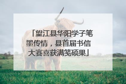 望江县华阳学子笔墨传情，县首届书信大赛喜获满笺硕果