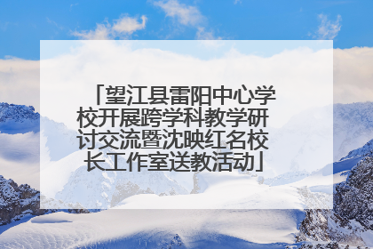 望江县雷阳中心学校开展跨学科教学研讨交流暨沈映红名校长工作室送教活动