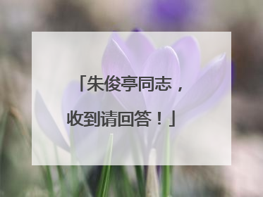 朱俊亭同志，收到请回答！
