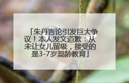 朱丹言论引发巨大争议！本人发文道歉：从未让女儿留级，接受的是3-7岁混龄教育
