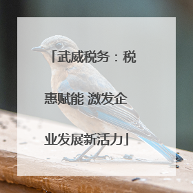 武威税务：税惠赋能 激发企业发展新活力