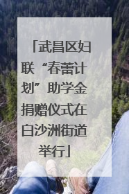 武昌区妇联“春蕾计划”助学金捐赠仪式在白沙洲街道举行