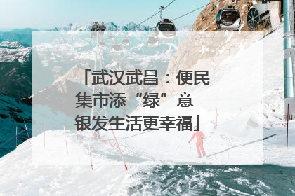 武汉武昌：便民集市添“绿”意 银发生活更幸福