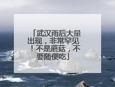 武汉雨后大量出现，非常罕见！不是蘑菇，不要随便吃
