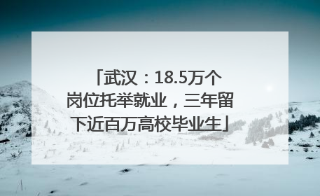 武汉：18.5万个岗位托举就业，三年留下近百万高校毕业生