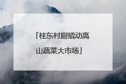 桂东村厨撬动高山蔬菜大市场