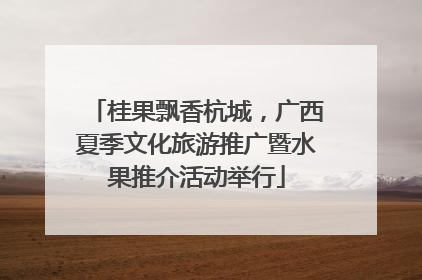 桂果飘香杭城，广西夏季文化旅游推广暨水果推介活动举行