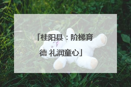 桂阳县：阶梯育德 礼润童心
