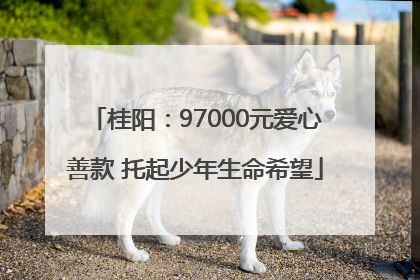 桂阳：97000元爱心善款 托起少年生命希望