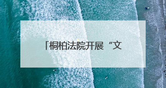桐柏法院开展“文明服务我出彩 群众满意在窗口”活动