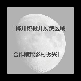 桦川积极开展跨区域合作赋能乡村振兴