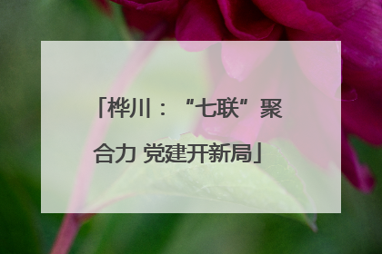 桦川：“七联”聚合力 党建开新局
