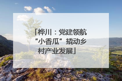 桦川：党建领航“小香瓜”撬动乡村产业发展