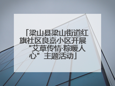 梁山县梁山街道红旗社区良嘉小区开展“艾草传情·粽暖人心”主题活动