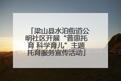 梁山县水泊街道公明社区开展“普惠托育 科学育儿”主题托育服务宣传活动