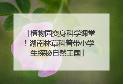 植物园变身科学课堂！湖南林草科普带小学生探秘自然王国