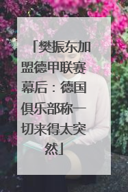 樊振东加盟德甲联赛幕后：德国俱乐部称一切来得太突然