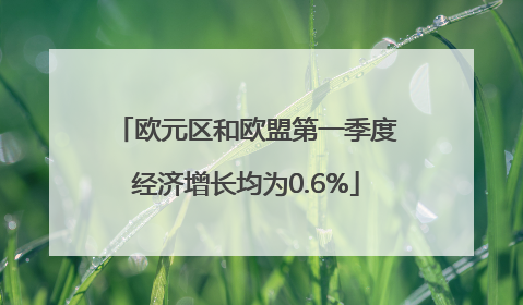 欧元区和欧盟第一季度经济增长均为0.6%