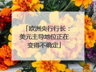 欧洲央行行长：美元主导地位正在变得不确定