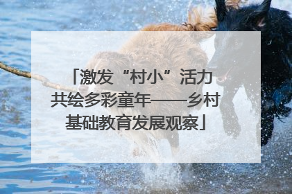 激发“村小”活力 共绘多彩童年——乡村基础教育发展观察