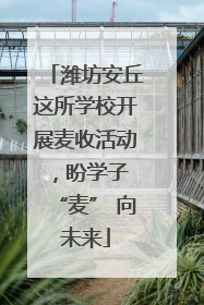 潍坊安丘这所学校开展麦收活动，盼学子 “麦” 向未来