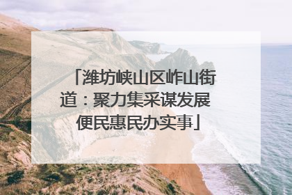 潍坊峡山区岞山街道：聚力集采谋发展 便民惠民办实事
