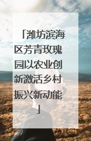 潍坊滨海区芳青玫瑰园以农业创新激活乡村振兴新动能