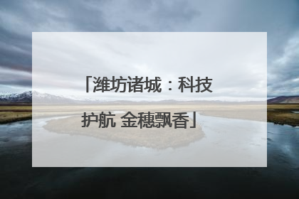 潍坊诸城：科技护航 金穗飘香