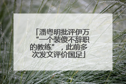 潘粤明批评伊万“一个装傻不辞职的教练”，此前多次发文评价国足