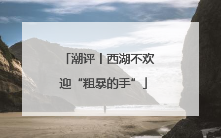 潮评丨西湖不欢迎“粗暴的手”