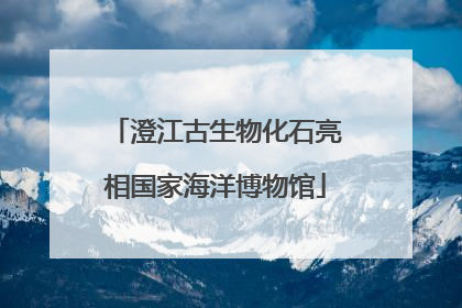 澄江古生物化石亮相国家海洋博物馆