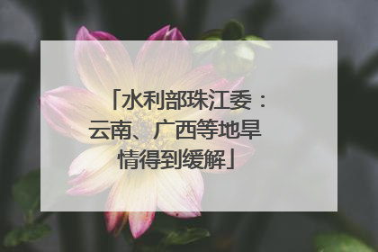 水利部珠江委：云南、广西等地旱情得到缓解